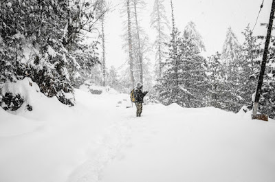 snowy-winter-in-shimla