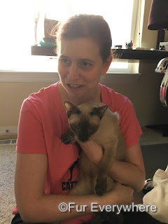 I'm holding Brown Rice, a sweet Siamese Demi rescued from Bangkok.