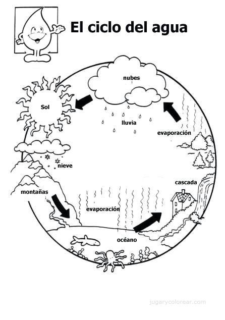 blank water cycle diagram for kids. Water Cycle Diagram Labeled