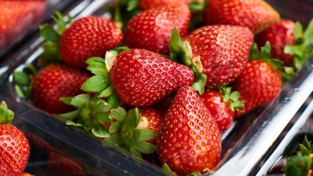 Budidaya-Strawberry:-Panduan-Pemula-untuk-Memulai-Perkebunan-Strawberry