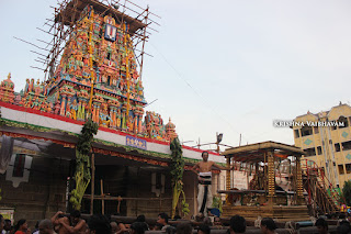 Chepparam, Purappadu Sri Gajendra Varadhar, Samrokshanam, 2016, Video, Divya Prabhandam,Sri Parthasarathy Perumal, Triplicane,Thiruvallikeni,Utsavam,