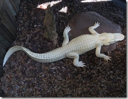 IMG_2025