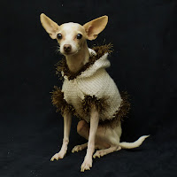 White hoodie for your Dog!