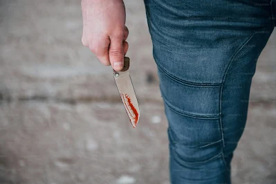 Teenager Arrested for Fatally Stabbing Friend During Fight in Ogun-OXYGIST