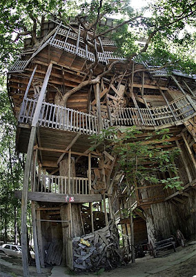 The World's Biggest Treehouse (14) 2