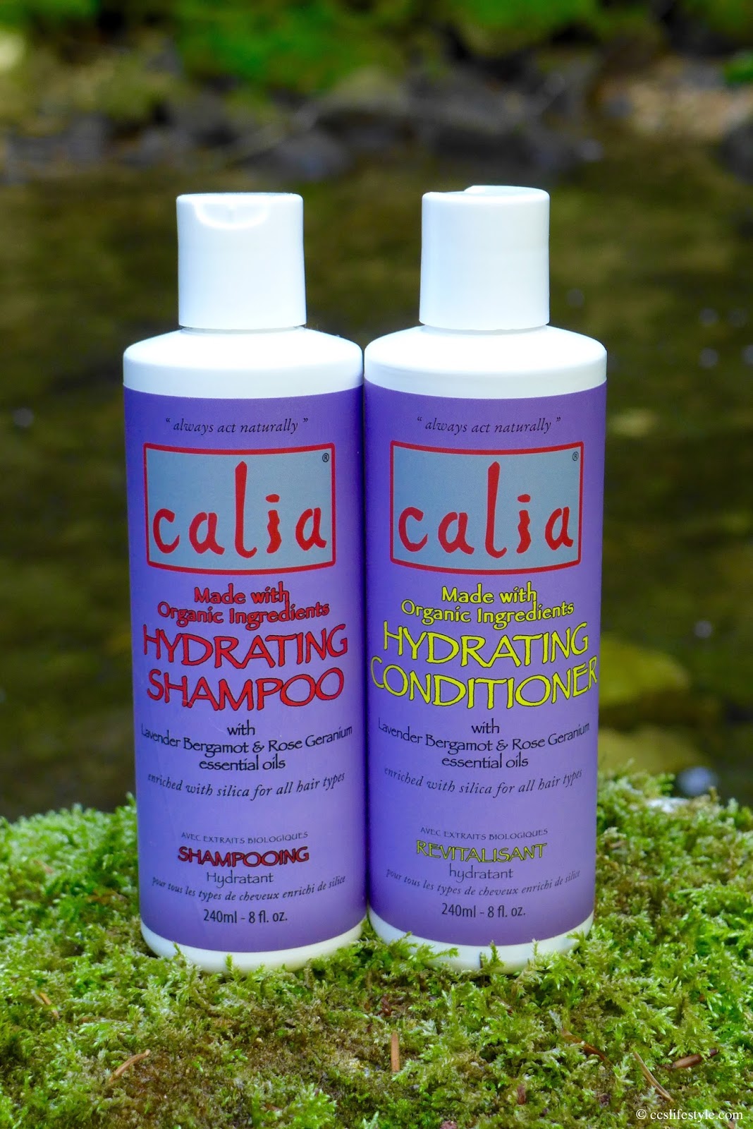Cc S Lifestyle Calia Hydrating Shampoo And Conditioner