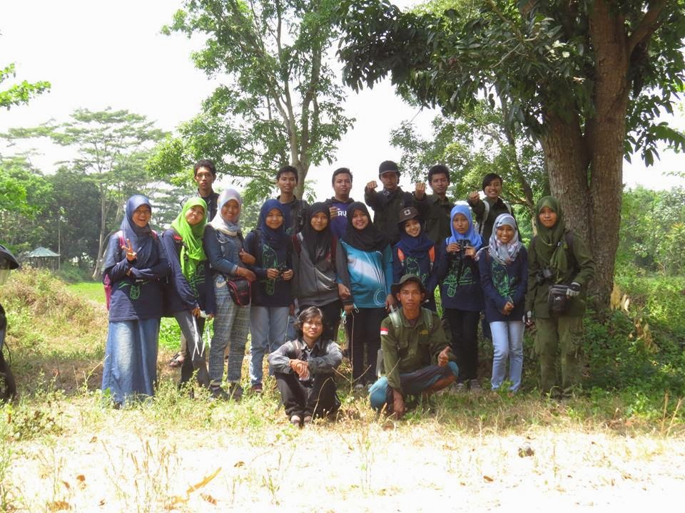 Sketsa Burung Blok O Yogyakarta