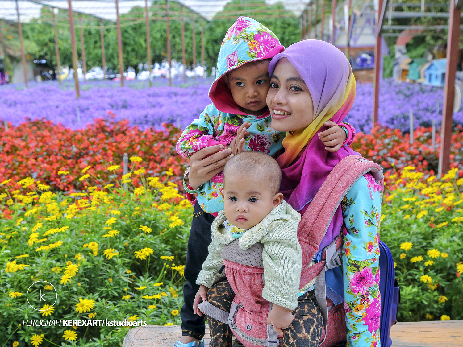 LAVENDER GARDEN CAMERON HIGHLAND