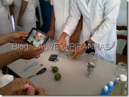 Foto-0016