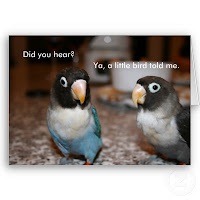 Birds Talking