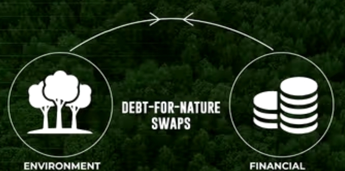 Kenya debt for nature deal debt