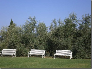 P8190035