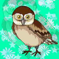 Games2Jolly Pygmy Owl Esc…