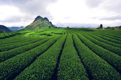 obyek wisata terkenal di vietnam