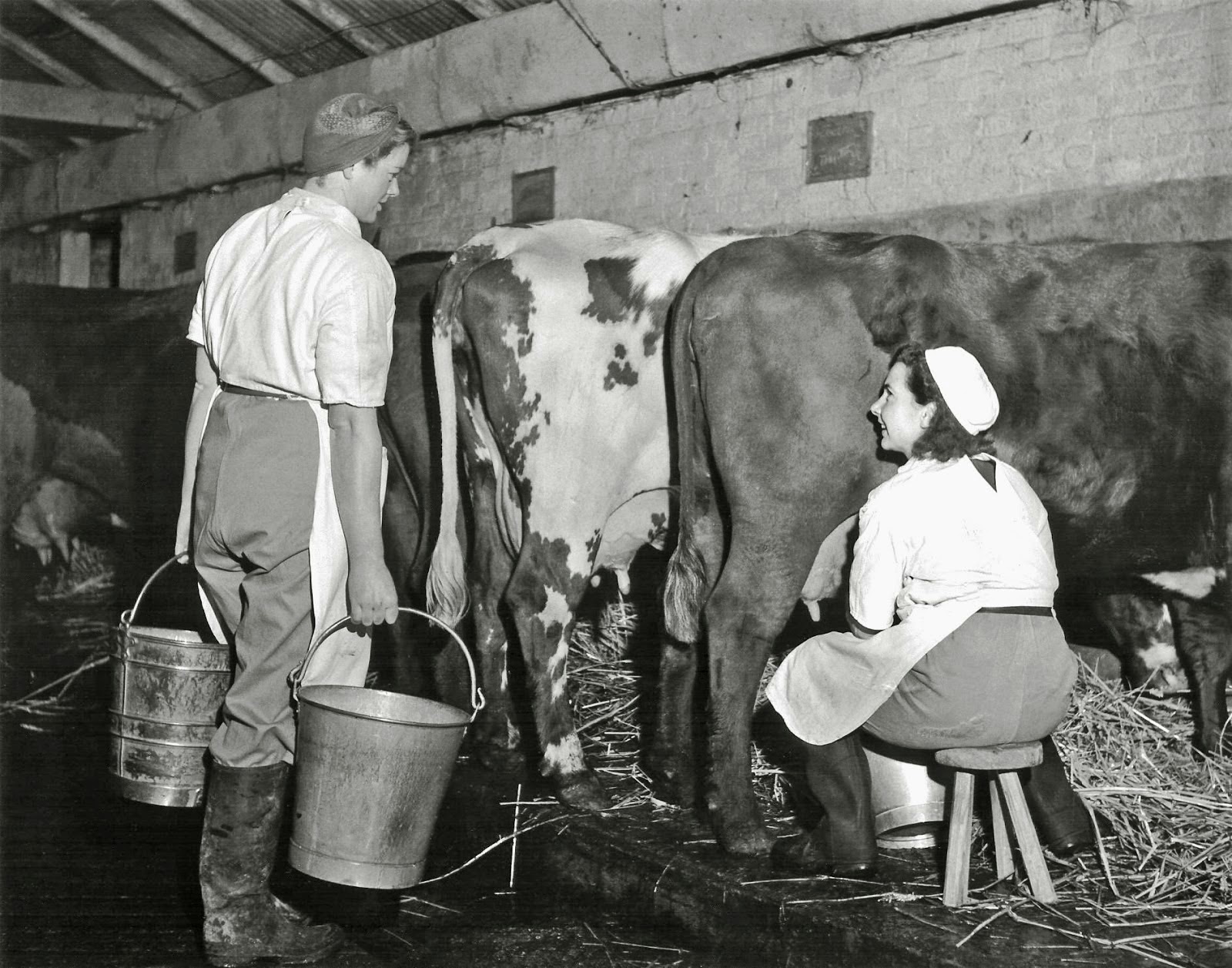 Vintage Photos of Land Girls During World War II ~ vintage 