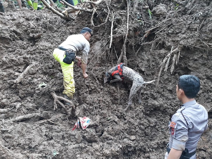 K-9 Polda Sulsel Temukan 7 Jenazah Korban Bencana Alam Longsor di Gowa