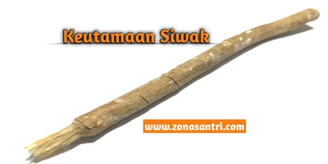 70 keutamaan siwak