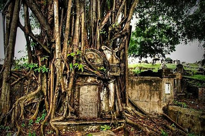 Graveyard Photography