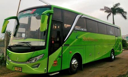 Bus Pariwisata Shelota