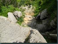 DSCN3485