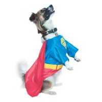 Pet Fancy Dress Costume