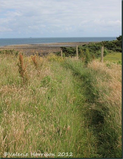 44-path
