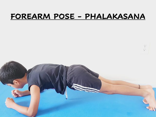 plank yoga pose