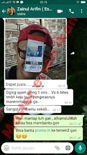 Testimoni Master Essen Katilayu Ikan Lele