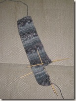 sock_progress_jan_5