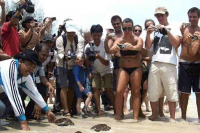 Gili Trawangan on People Of Gili Trawangan In West Lombok To Release Turtles To The Wild