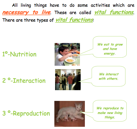 Resultado de imagen de the three vital functions for kids