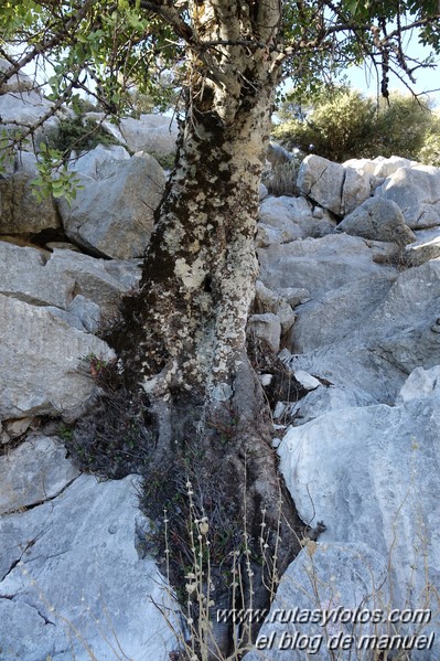 Crestería Ojo del Moro - Salto del Cabrero