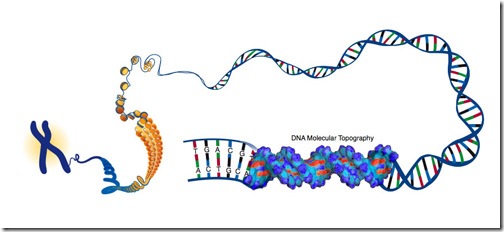 DNA-package