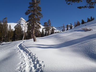 Pear Lake Ski Backpack Snowshoe Sequoia National Park