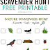 backyard scavenger hunt with free printable great for kids of all ages - free nature scavenger hunt pdf printable for kids