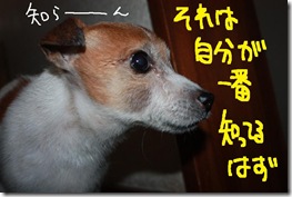 今日カズ１０１２０５　２