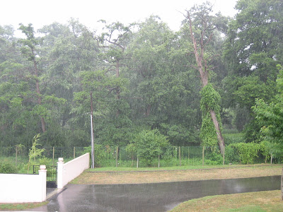 lluvia