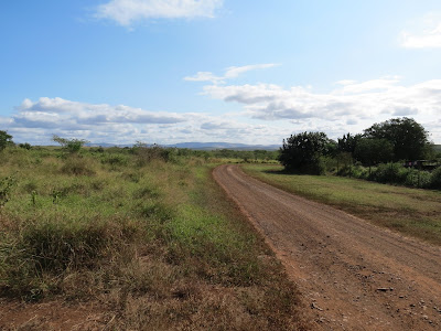 Hluhluwe Safari Living