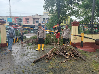 Pohon tumbang di depan Polsek Bonto marannu, Kapolsek turun langsung kerjasama Personilnya