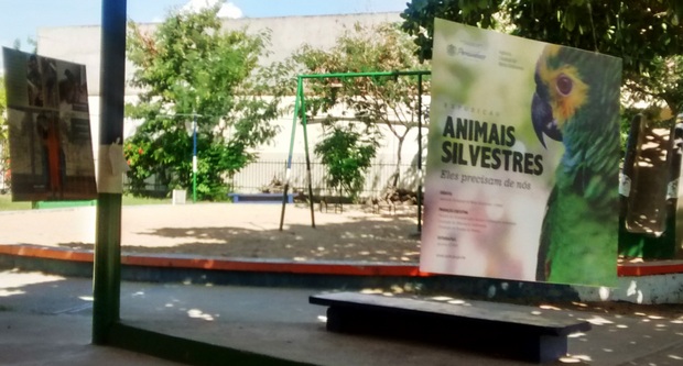 Mostra fotográfica sobre animais silvestres está sendo realizada no Parque Florestal de Santa Cruz