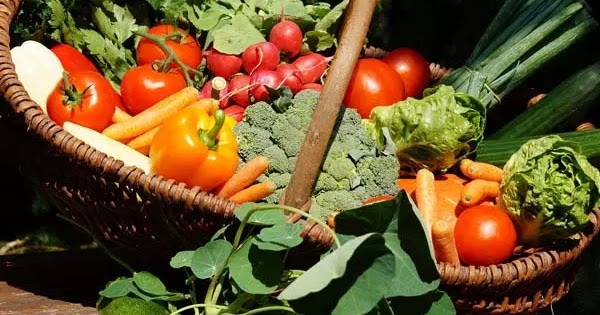 21 Jenis Sayuran  dan Buah Eksklusif yang  Diminati Pasar 