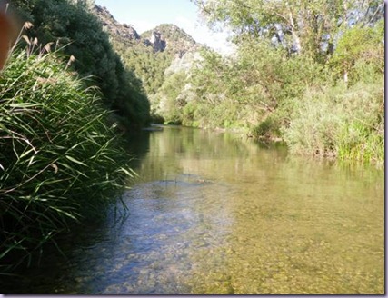 clip_image004[6]