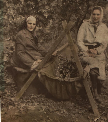 Black country, hop picking