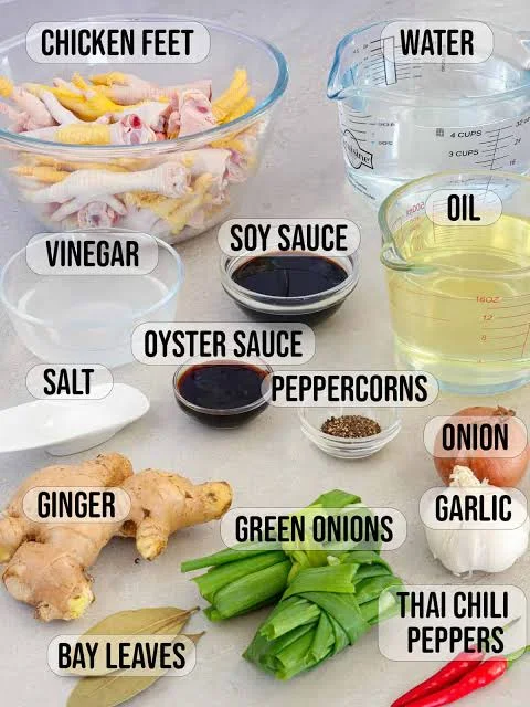 Chef Tatung’s Chicken Feet Recipe