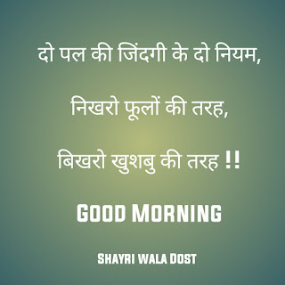 good morning shayari in hindi|गुड मॉर्निंग शायरी