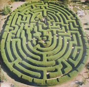 Getting Lost In The Maze