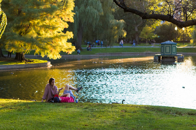 Boston public garden e Boston Common