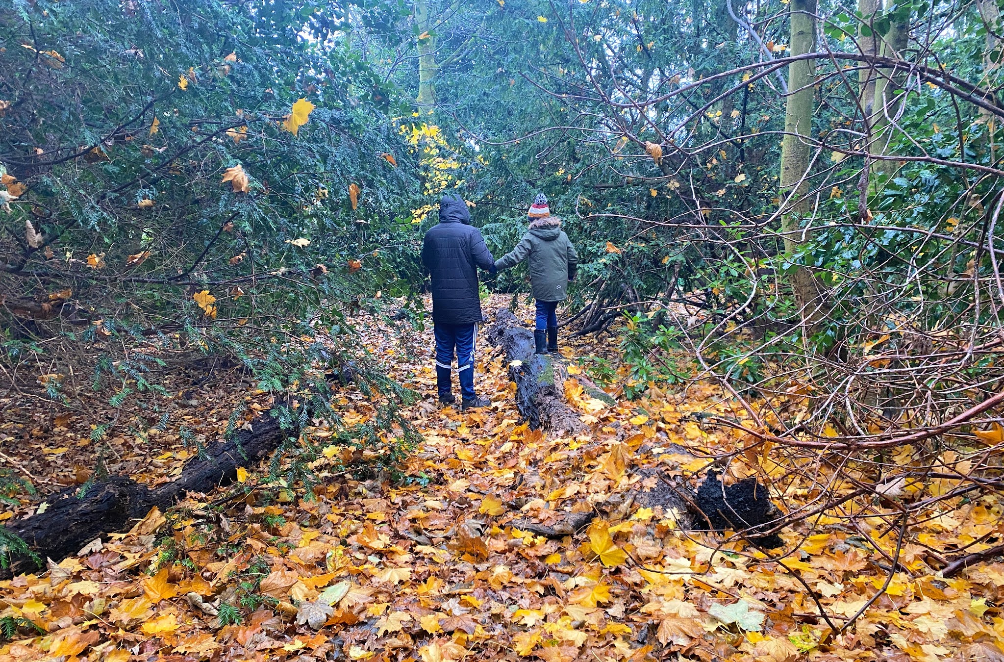 man and boy walking through woods