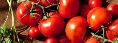 "panduan budidaya tomat organik natural nusantara distributor nasa poc nasa hormonik supernasa glio bvr power nutrition"