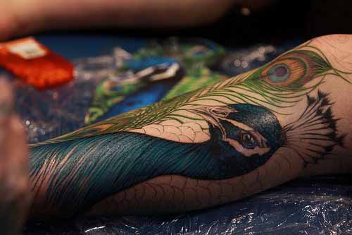 Peacock Tattoos